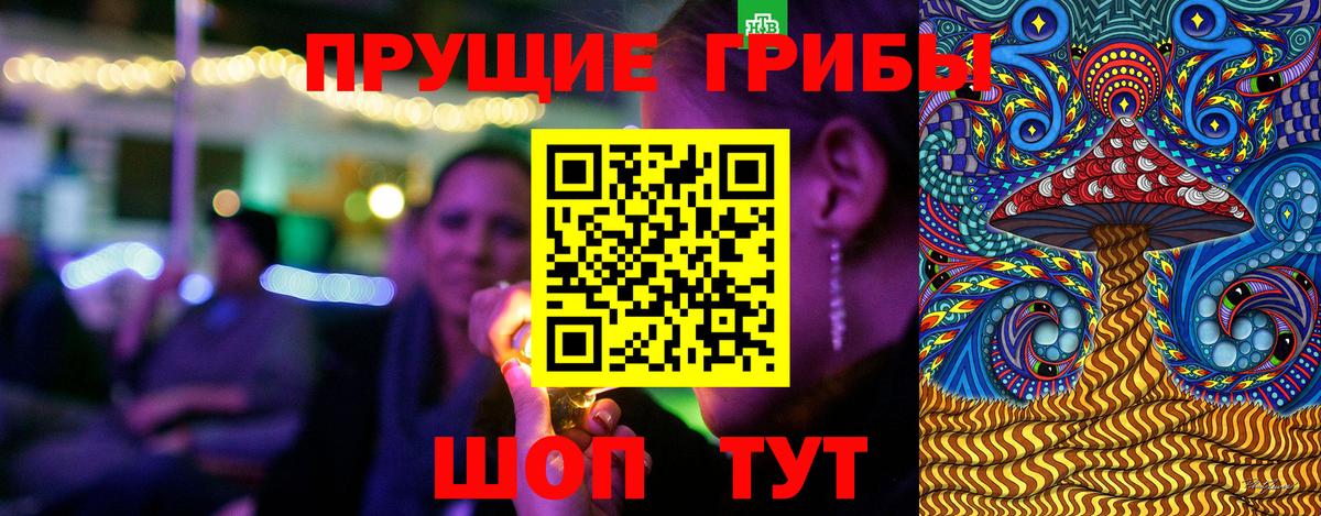 Малоярославец  Псилоцибиновые грибы Psilocybe  Вход с VPN 