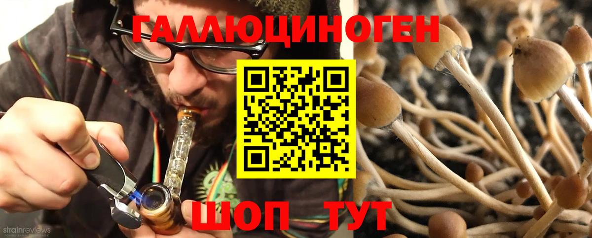 Галлюциногенные грибы MAGIC MUSHROOMS Малоярославец